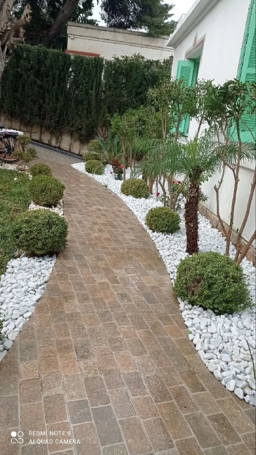 Le meilleur Jardinage et Espace vert et gazon