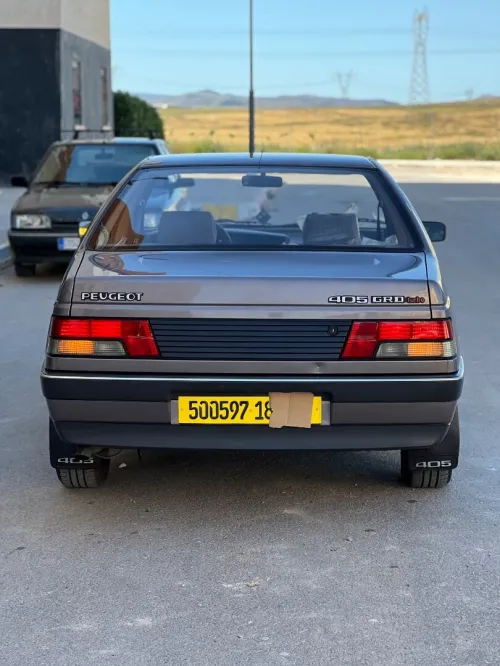 Peugeot 405 1989 405