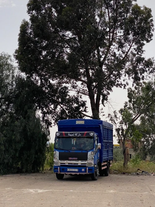 Isuzu Npr 2012