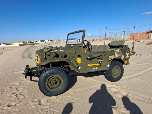 Toyota Land Cruiser 1975 Court