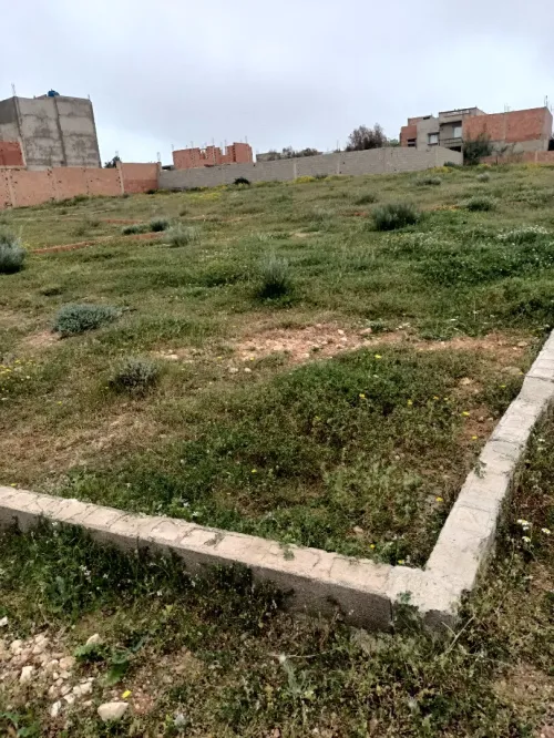 Vente Terrain Mostaganem Sayada