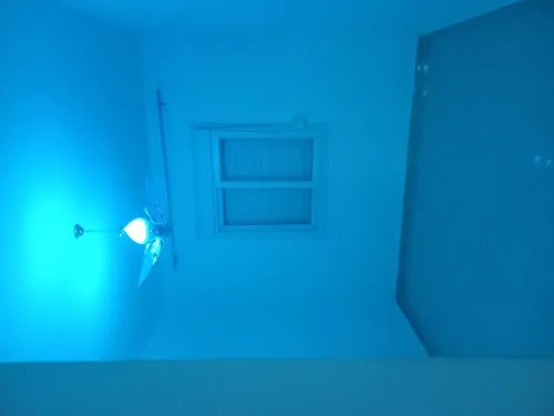 Location Appartement F4 Alger Mahelma
