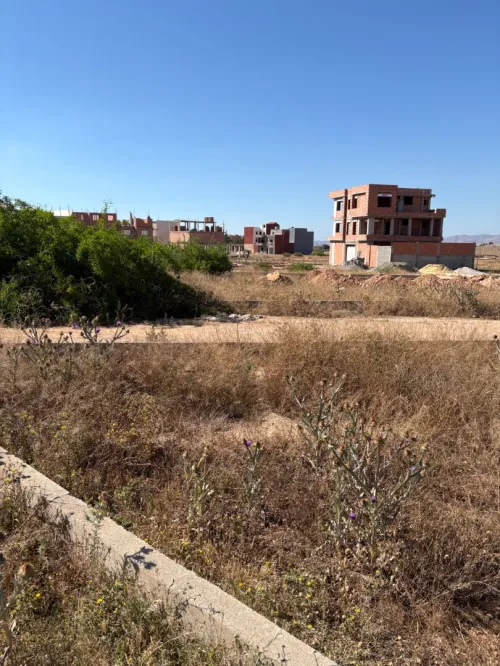 Vente Terrain Tlemcen Zenata