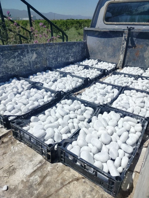 Gallet pour décoration de jardin, espace Vert, piscine, pour les gens  Livraison disponible