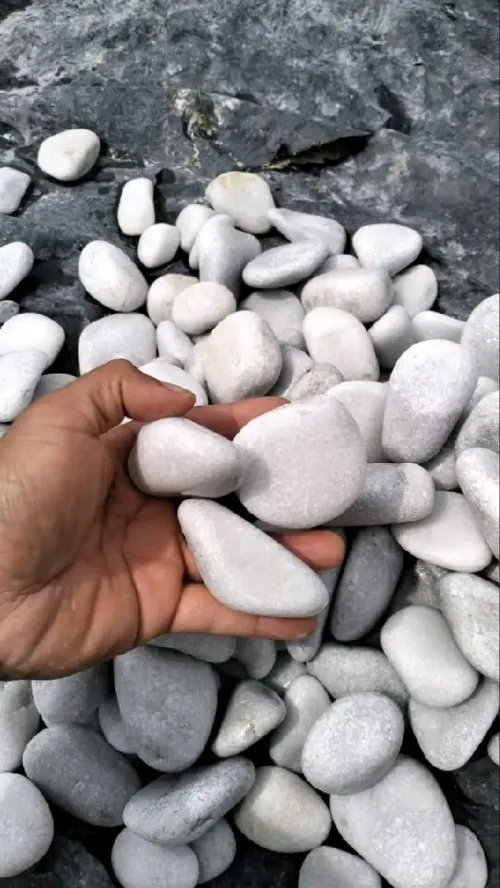 Galet jardin حجر طبيعي للتزين حدائق و مسابح و pierre de décoration galet marbré  حجر تبيض حجر اسود