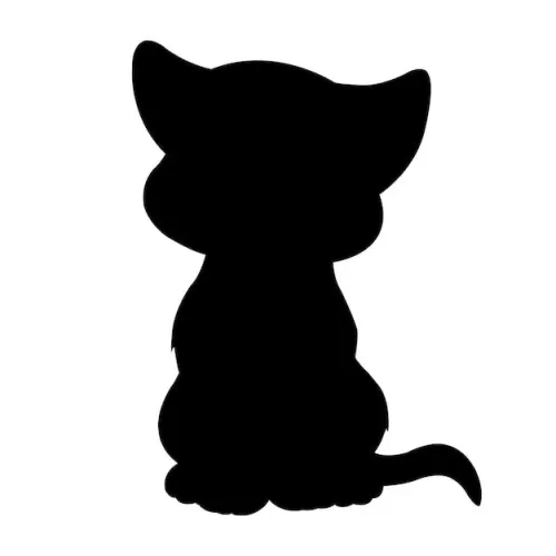 1 chaton femmelle