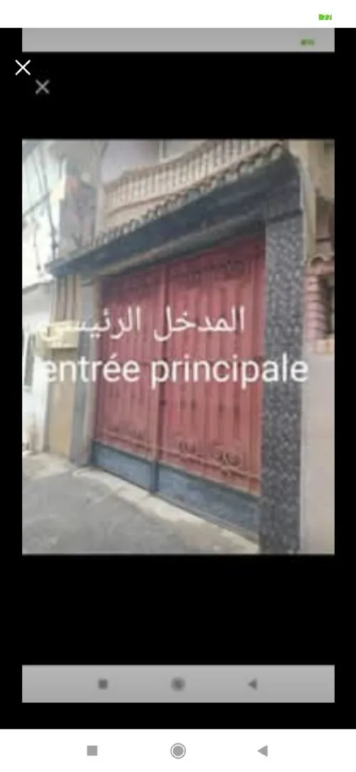 Location Local Alger Zeralda