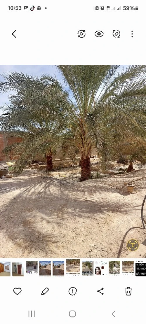 Vente Villa Biskra Bouchagroun