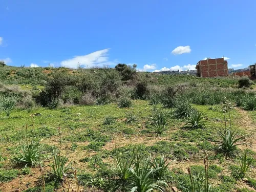 Vente Terrain Constantine Constantine
