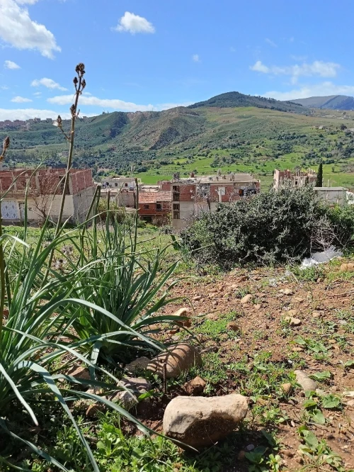 Vente Terrain Constantine Constantine