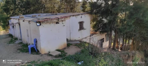 Vente Terrain Agricole Blida Guerrouaou