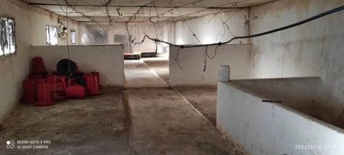 Vente Terrain Agricole Blida Guerrouaou