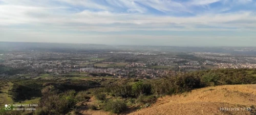 Vente Terrain Agricole Blida Guerrouaou