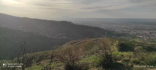 Vente Terrain Agricole Blida Guerrouaou