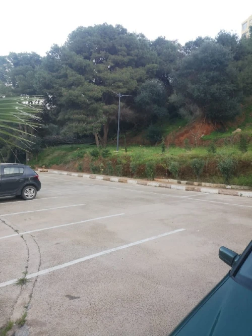 Vente Appartement Tipaza Douaouda