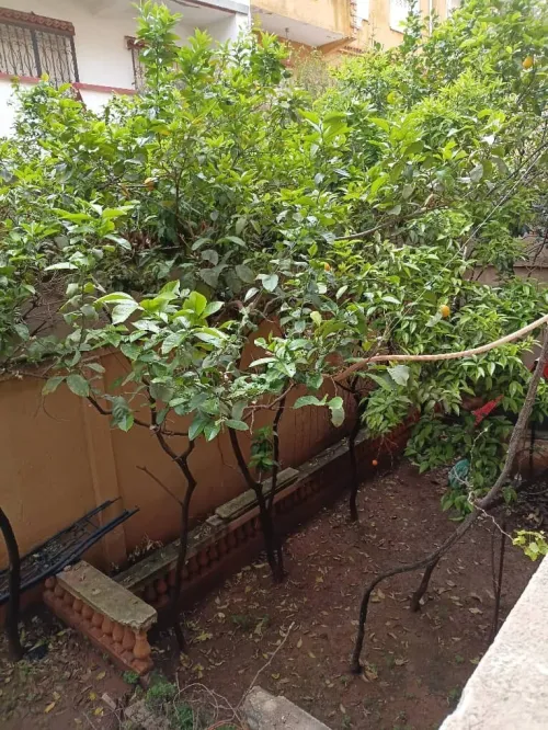 Vente Villa Alger Zeralda