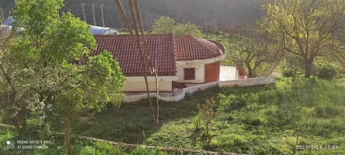 Vente Terrain Agricole Blida Guerrouaou