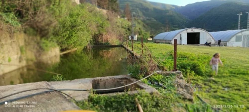 Vente Terrain Agricole Blida Guerrouaou
