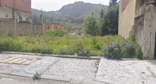 Vente Terrain Constantine Hamma bouziane