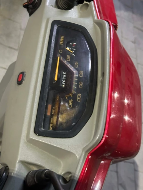 Yamaha Beluga 1996