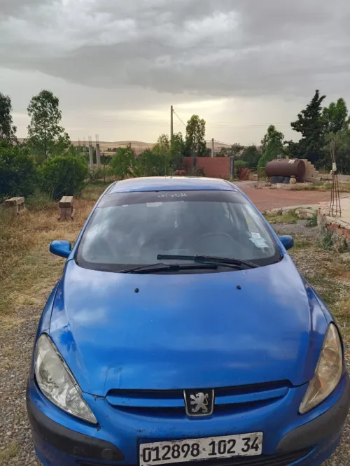 Peugeot 307 2002 XT