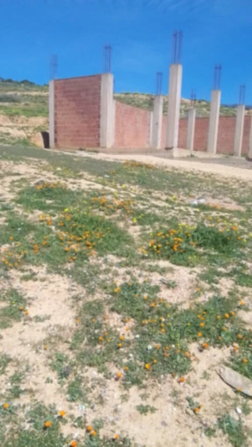 Vente Terrain Aïn Defla Khemis miliana