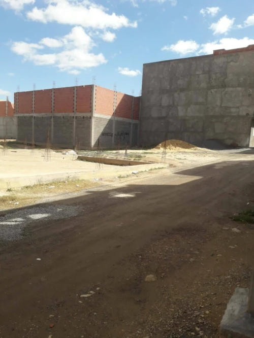 Vente Terrain Tébessa Tebessa