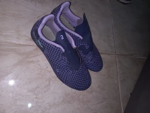 Kipsta viollette