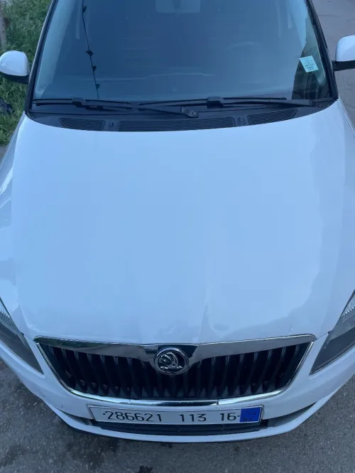 Volkswagen Skoda 2013 Fabia