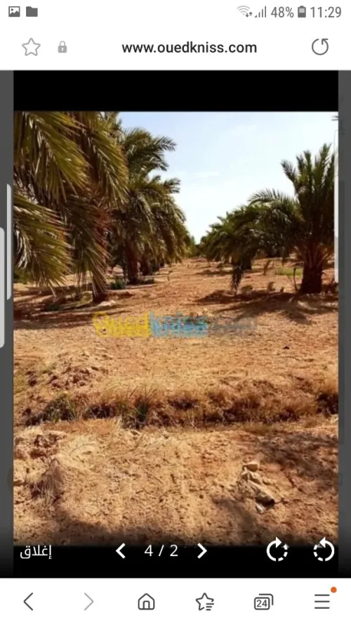 Vente Terrain Agricole Biskra Oumache