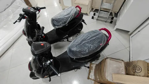 Vms Coxi 2026