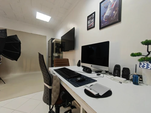 Photographe professionnel 