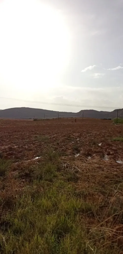 Vente Terrain Agricole Djelfa Ain el ibel