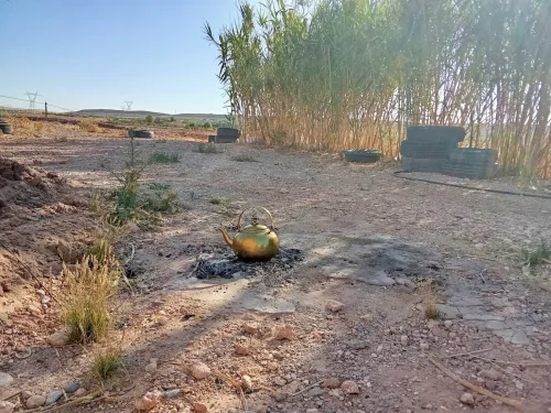Vente Terrain Agricole Djelfa Ain el ibel