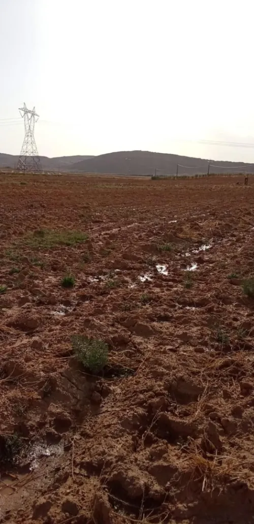 Vente Terrain Agricole Djelfa Ain el ibel