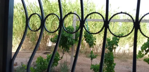 Vente Terrain Agricole Djelfa Ain el ibel