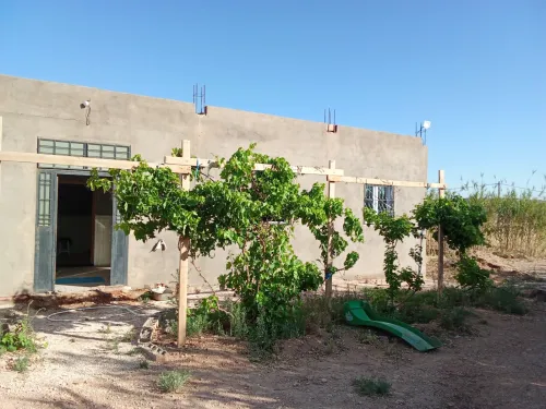 Vente Terrain Agricole Djelfa Ain el ibel