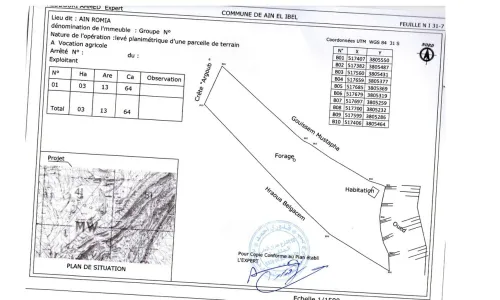 Vente Terrain Agricole Djelfa Ain el ibel