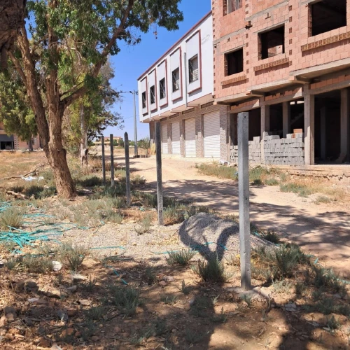 Vente Terrain Tlemcen Zenata