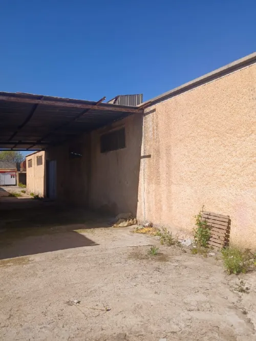 Location Hangar - Usine Aïn Defla Ain soltane
