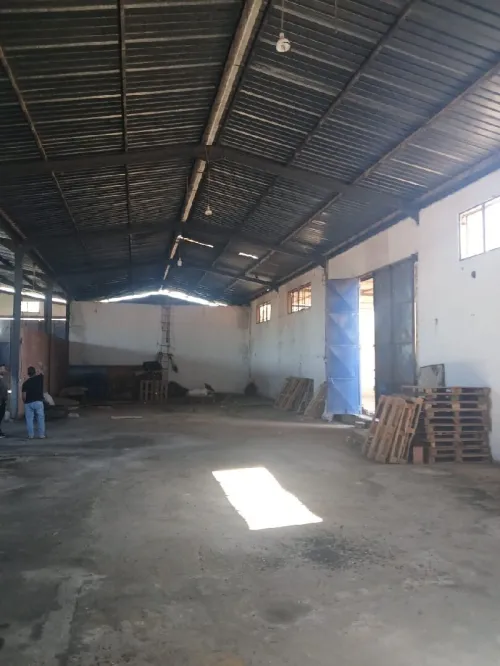 Location Hangar - Usine Aïn Defla Ain soltane