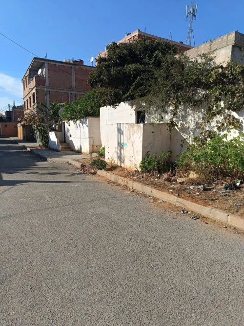 Vente Terrain Alger Saoula