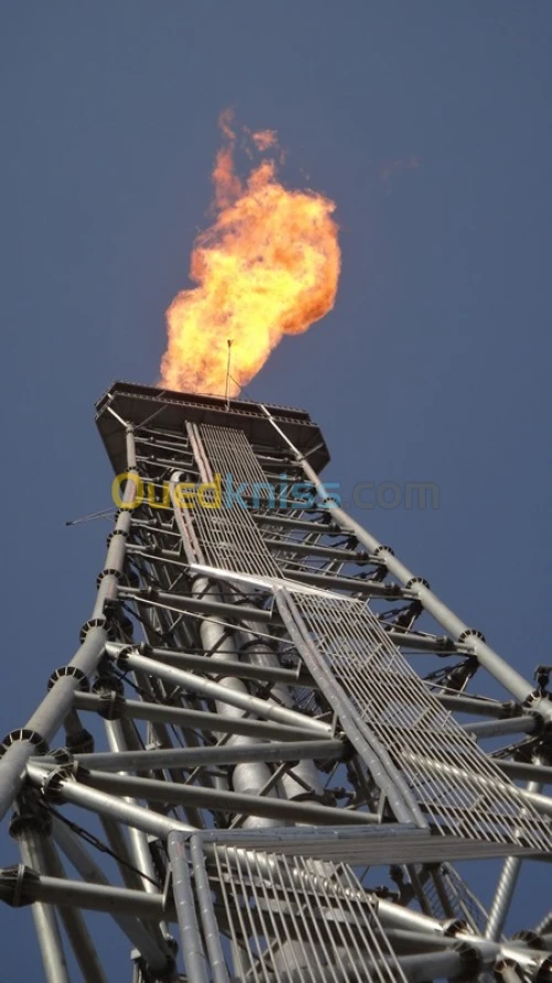Système de torche surélevée