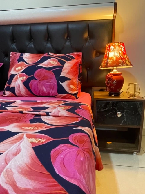 Location Appartement F3 Oran Oran