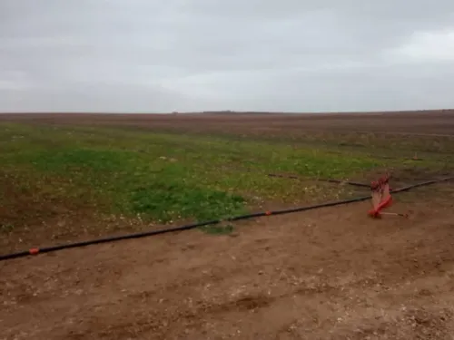 Vente Terrain Agricole Djelfa Bouira lahdab