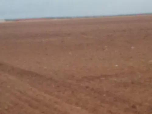 Vente Terrain Agricole Djelfa Bouira lahdab