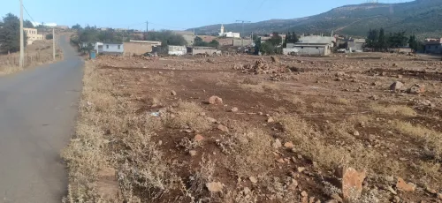 Vente Terrain Tlemcen Tirni beni hediel
