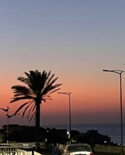 Location vacances Appartement F4 Alger Ain taya
