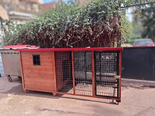 Niche et cage pour chien 