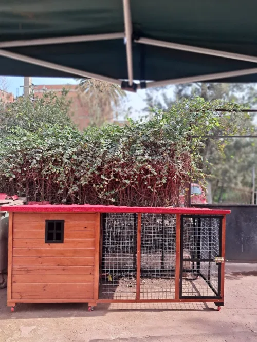 Niche et cage pour chien 